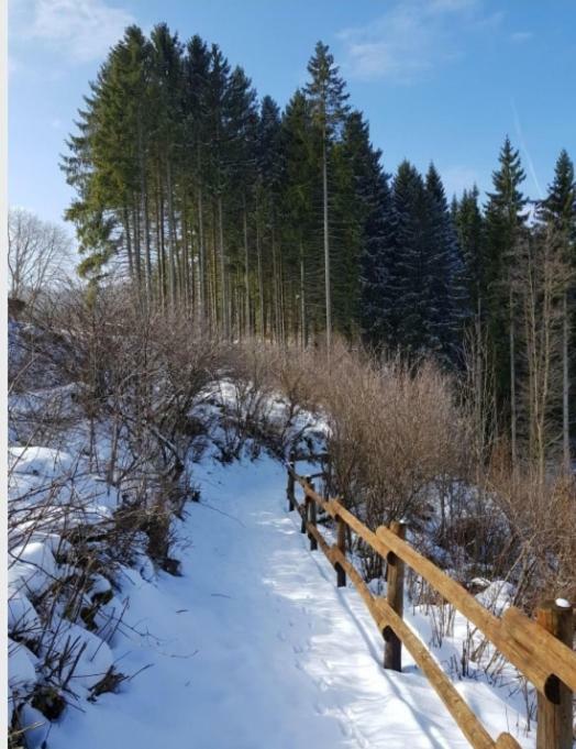 Nationalpark Ferienhaus Sophia-Luisa Borfink Luaran gambar